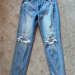 American Eagle Outfitters Light Blue Distressed Skinny Jeans
